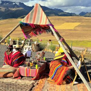 Picnic Con Alpacas